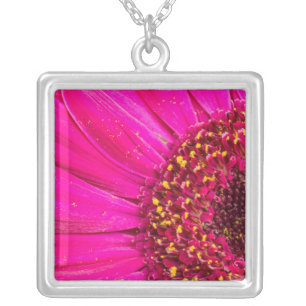 Close-up of a Gerber daisy Silver Plated Necklace