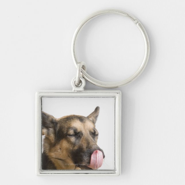 Close-up of a German Shepherd licking its nose Keychain (Front)
