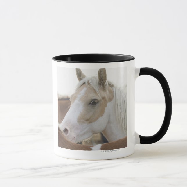 Close up of a herd of horses 2 mug (Right)