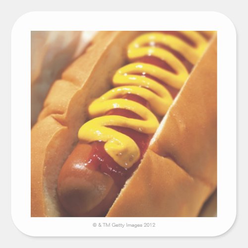 close_up of a hotdog square sticker