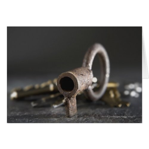 Close_up of a key in a key ring