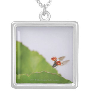 Close-up of a ladybug flying over a leaf silver plated necklace