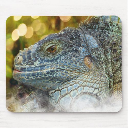 Close Up of a Large Scaly Green Iguana Lizard Mouse Pad