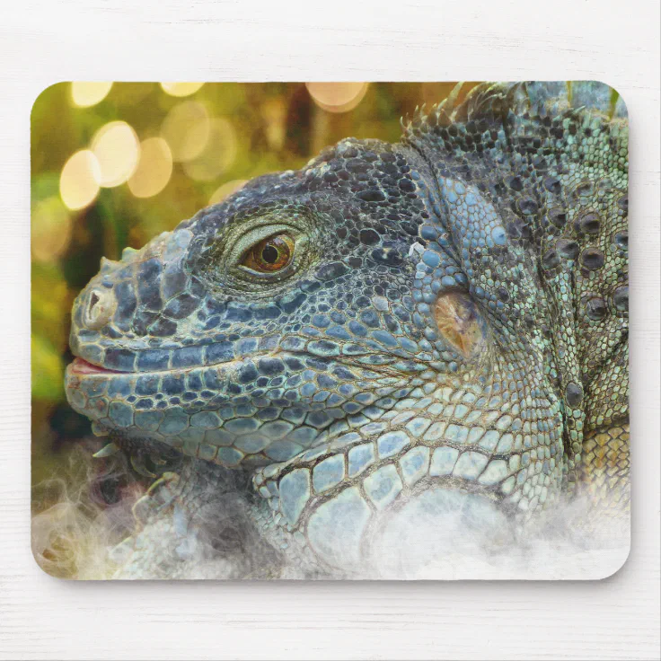 Green Lizard Personalised Computer Mouse Mat 