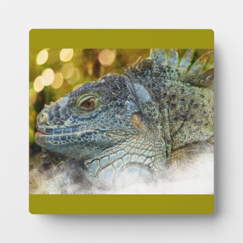 Close Up of a Large Scaly Green Iguana Lizard Plaque