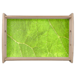 Close up of a leaf serving tray