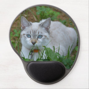 Close up of a Lynx Pointed Cat with Blue Eyes Gel Mouse Pad