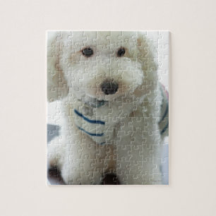 Close-up of a miniature poodle jigsaw puzzle