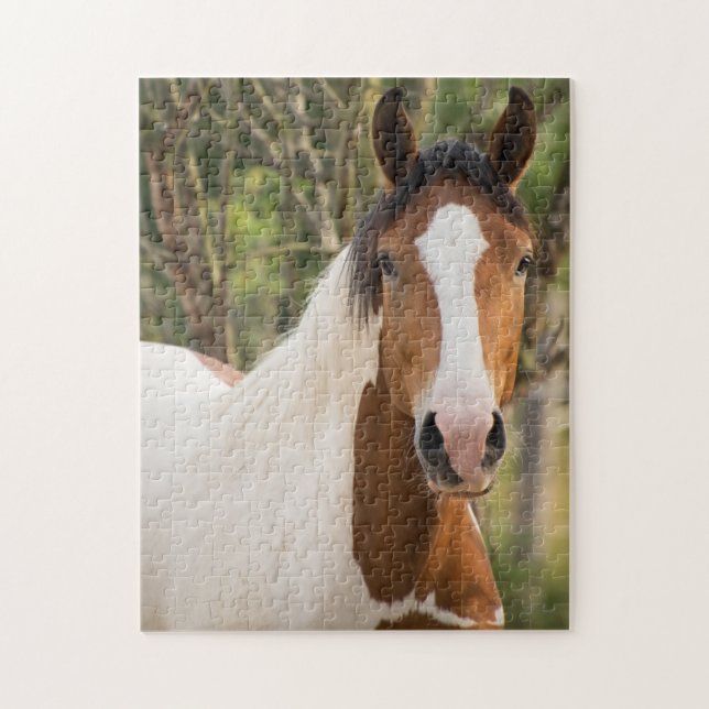 Close up of a Paint Horse Jigsaw Puzzle (Vertical)
