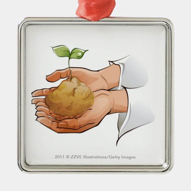 Close-up of a person's hands holding seedling metal ornament (Front)
