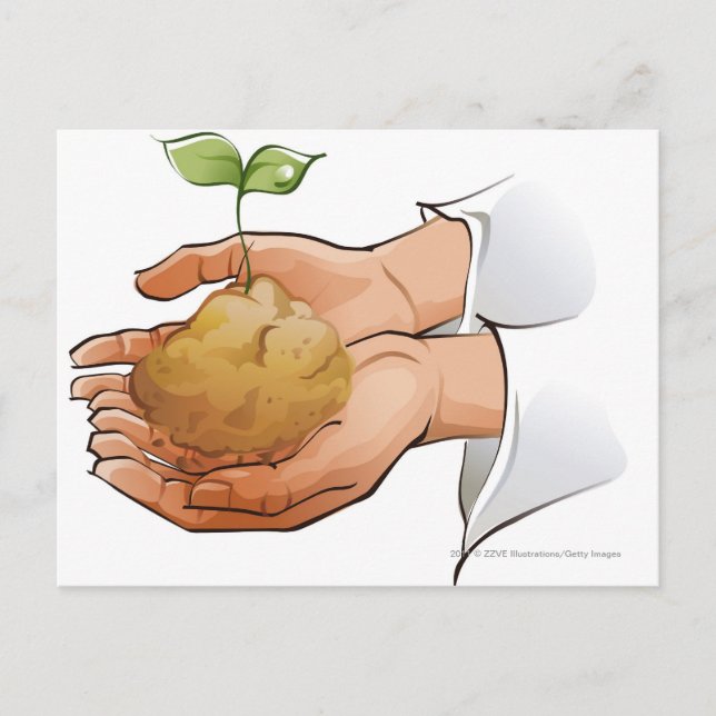 Close-up of a person's hands holding seedling postcard (Front)