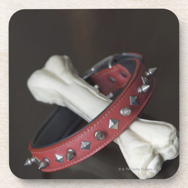 Close-up of a pet collar and a dog bone beverage coaster (Front)
