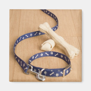 Close-up of a pet collar and a leash with dog magnet