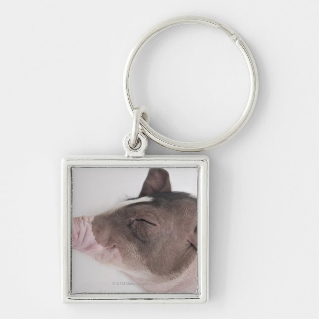 Close-up of a piglet's head, smiling keychain (Front)