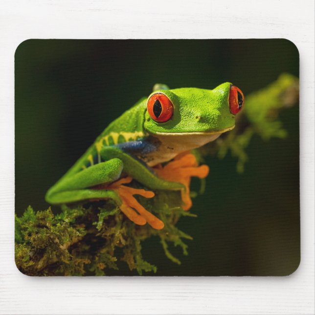 Close up of a Red Eyed Tree Frog #1 Mouse Pad (Front)