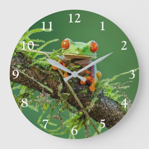 Close up of a Red Eyed Tree Frog on a branch Large Clock