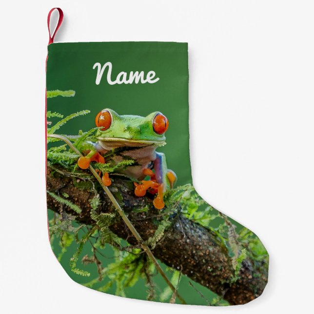 Close up of a Red Eyed Tree Frog Small Christmas Stocking (Front)