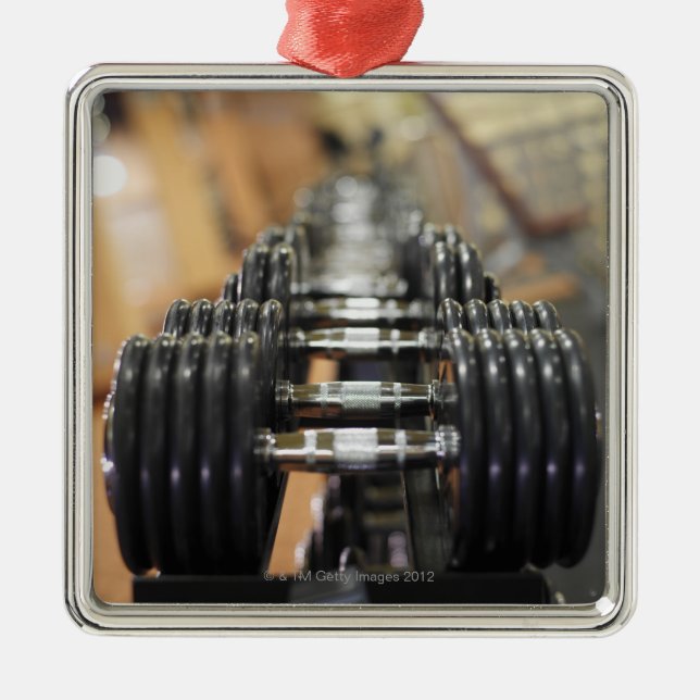 Close-up of a row of dumbbells metal ornament (Front)
