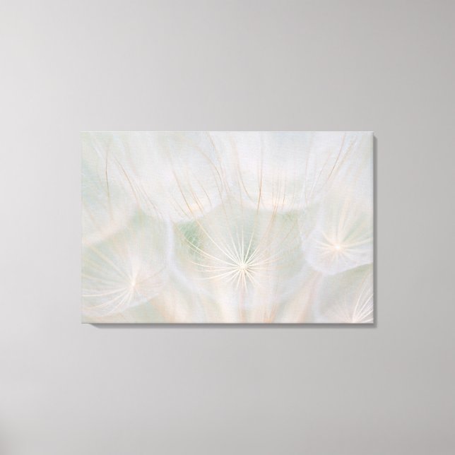 Close up of a seed head, Canada Canvas Print (Front)