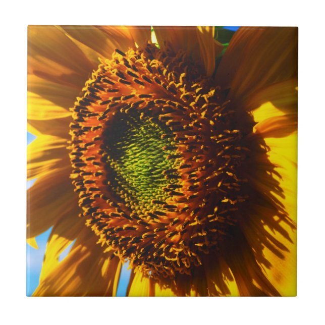 Close-up of a sunflower ceramic tile (Front)