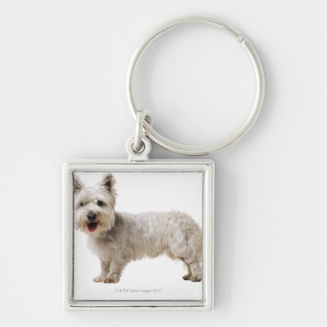 Close up of a terrier keychain (Front)