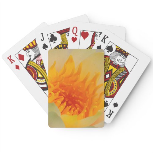 Close-Up Of A Water Lily Poker Cards