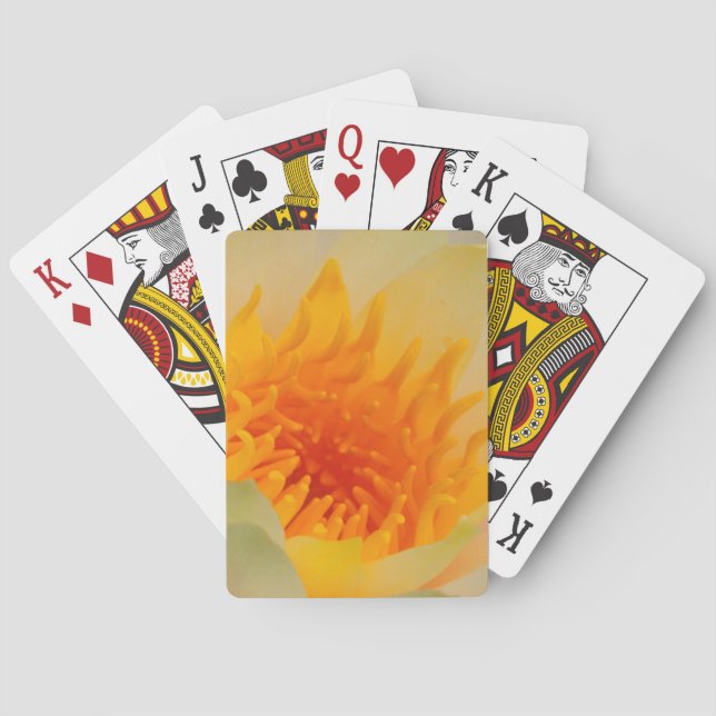 Close-Up Of A Water Lily Poker Cards (Back)