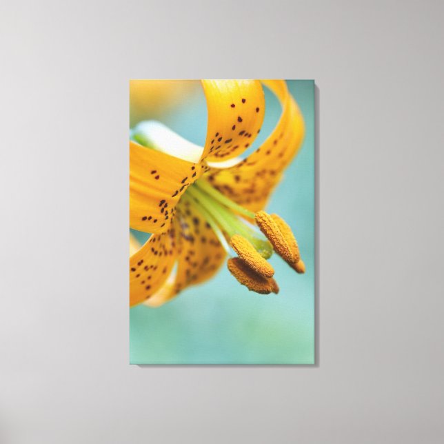 Close Up of a Yellow Lily Canvas Print (Front)