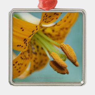 Close Up of a Yellow Lily Metal Ornament