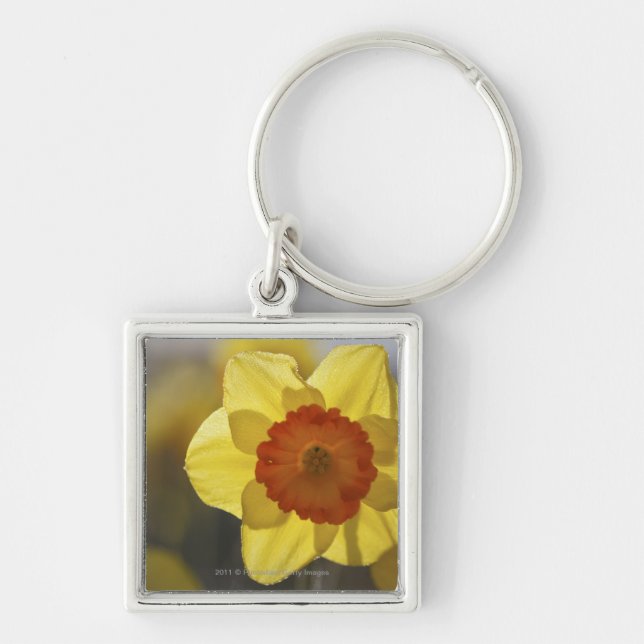 Close Up of a Yellow/Orange Daffodil Keychain (Front)