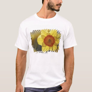 Close Up of a Yellow/Orange Daffodil T-Shirt