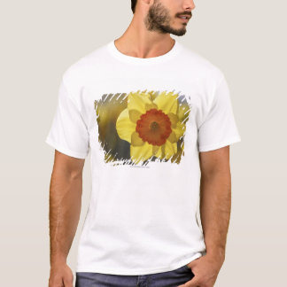 Close Up of a Yellow/Orange Daffodil T-Shirt