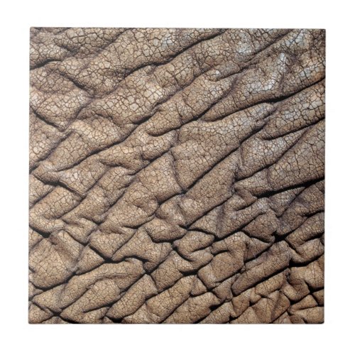 Close_Up Of African Elephants Hide Ceramic Tile