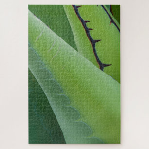 Close Up Of Agave Jigsaw Puzzle