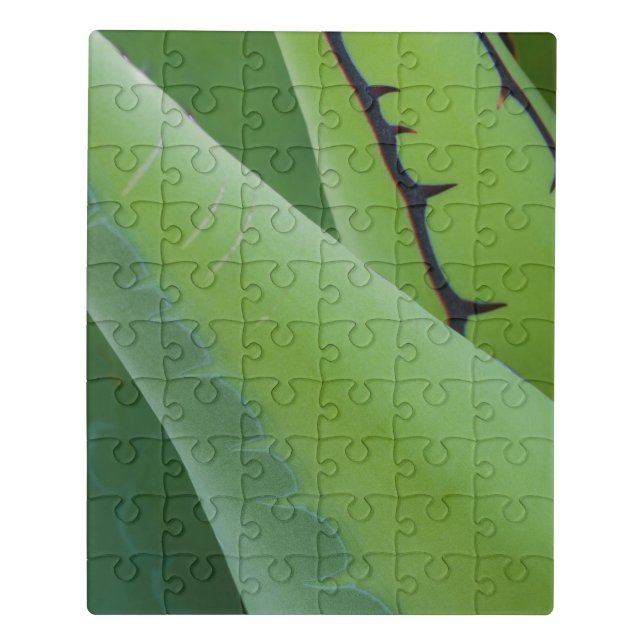 Close Up Of Agave Jigsaw Puzzle (Puzzle Vertical)