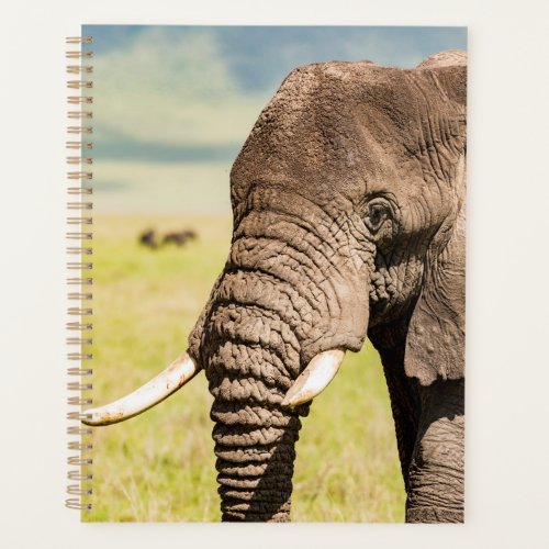 Close_up of an African Elephant Planner