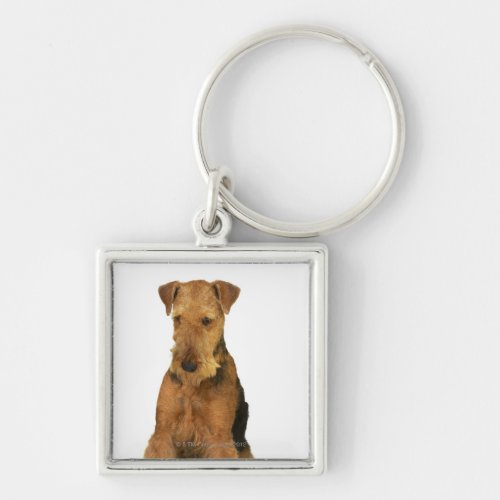 Close up of an airedale terrier keychain