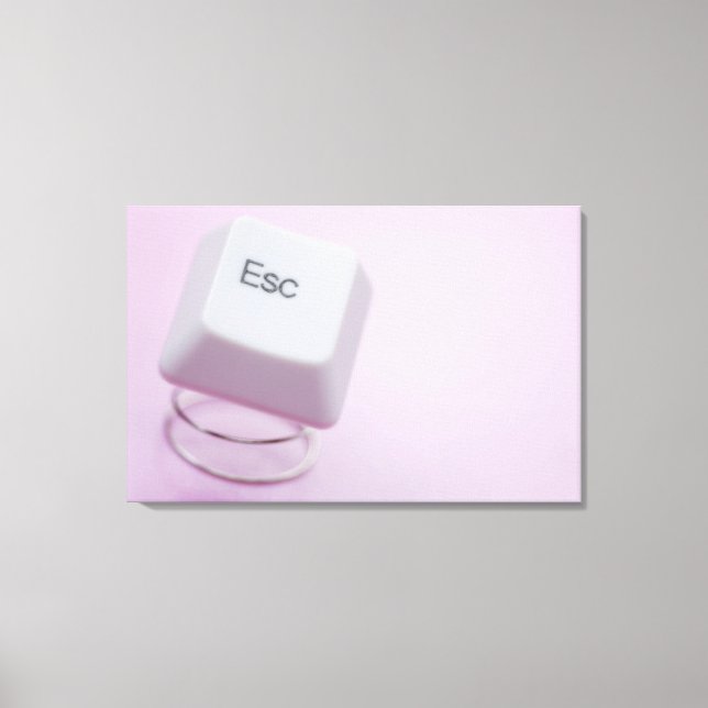 Close-up of an escape key canvas print (Front)