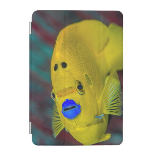 Close_up of Angelfish iPad Mini Cover