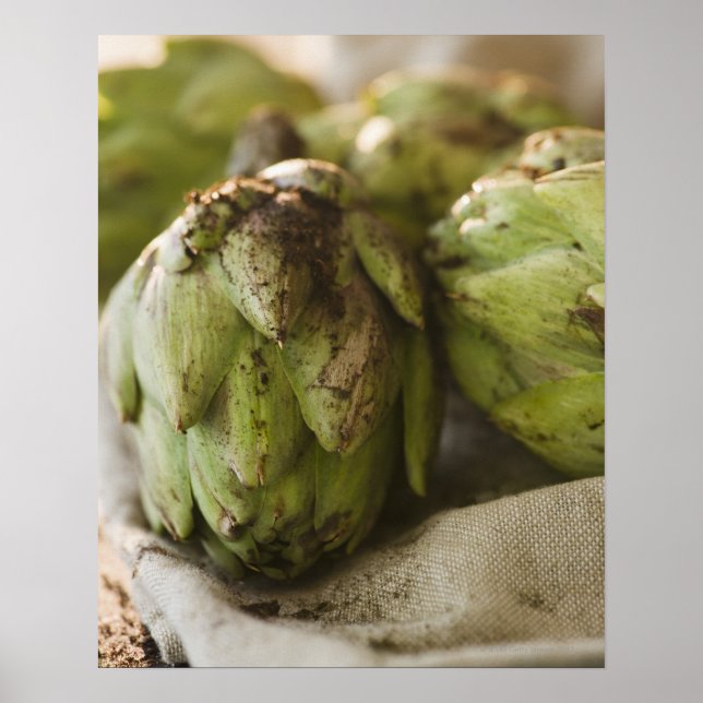 Close up of artichoke poster (Front)