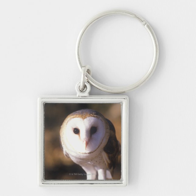 'Close-up of Barn Owl, Land Between Lakes, KY' Keychain (Front)