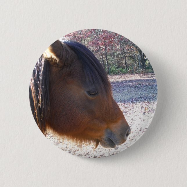 Close up of Brown horse, Little Brown Pony Button (Front)
