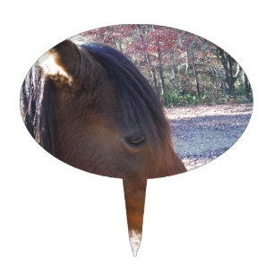 Close up of Brown horse, Little Brown Pony Cake Topper