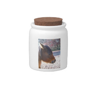 Close up of Brown horse, Little Brown Pony Candy Jar