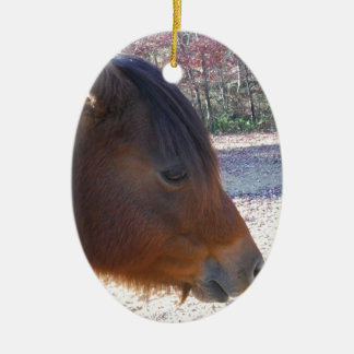 Close up of Brown horse, Little Brown Pony Ceramic Ornament