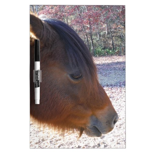 Close up of Brown horse Little Brown Pony Dry Erase Board