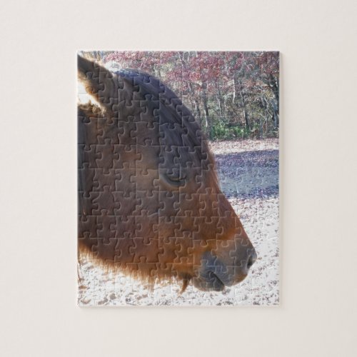 Close up of Brown horse Little Brown Pony Jigsaw Puzzle