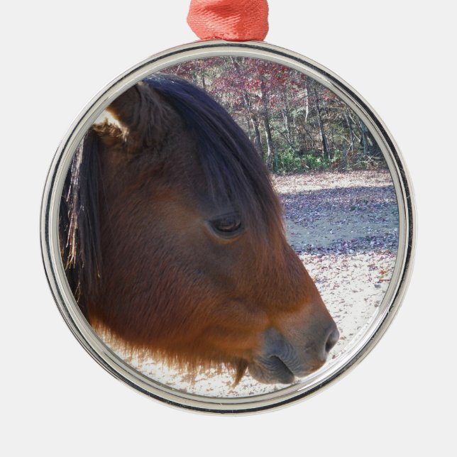 Close up of Brown horse, Little Brown Pony Metal Ornament (Front)