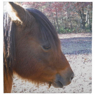 Close up of Brown horse, Little Brown Pony Napkin