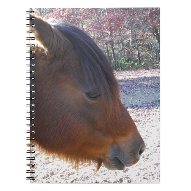 Close up of Brown horse, Little Brown Pony Notebook (Front)